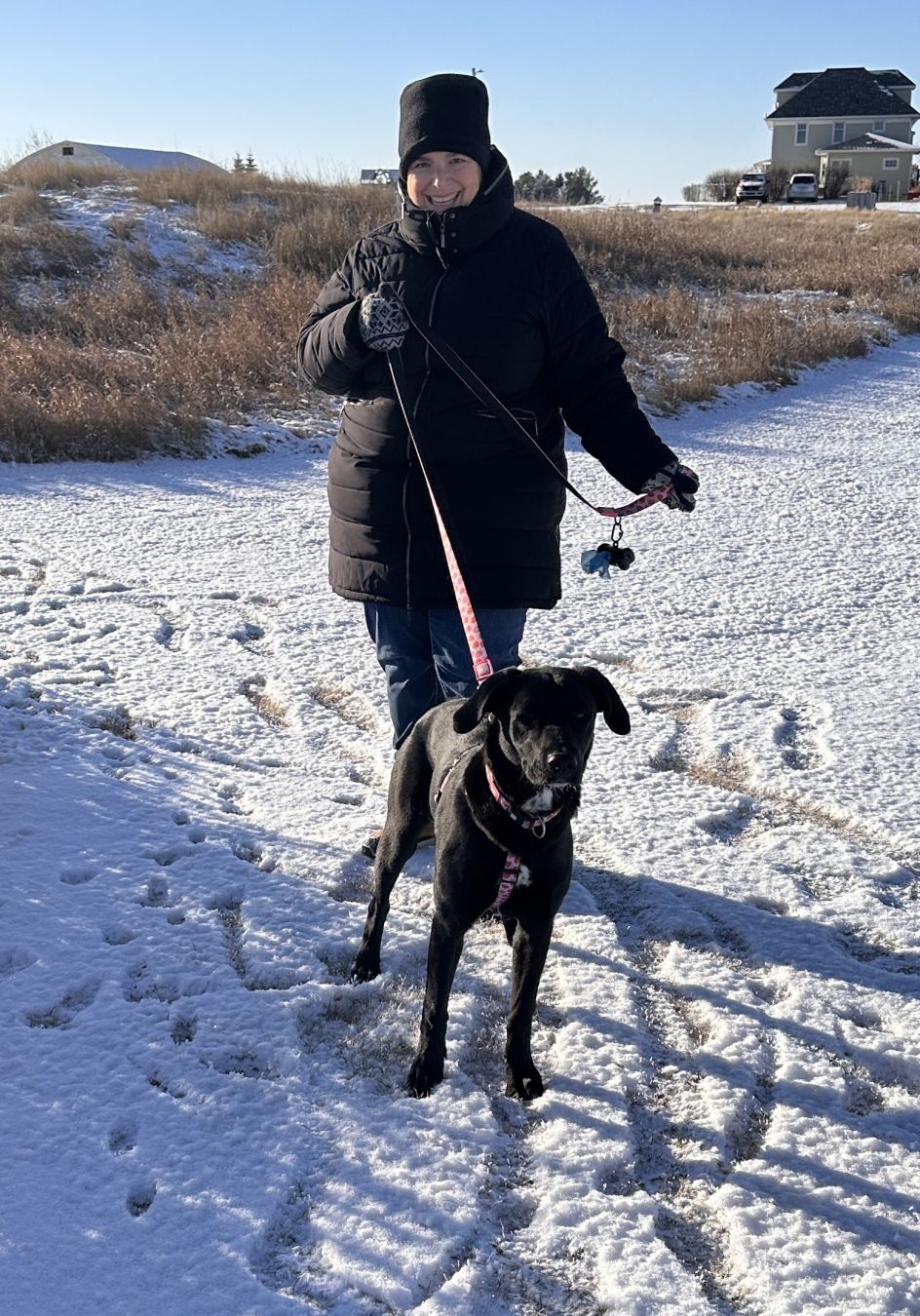 Woman standing on snow in front of long grass field and house in distance. She holds on leash an energetic looking black puppy, that’s me!